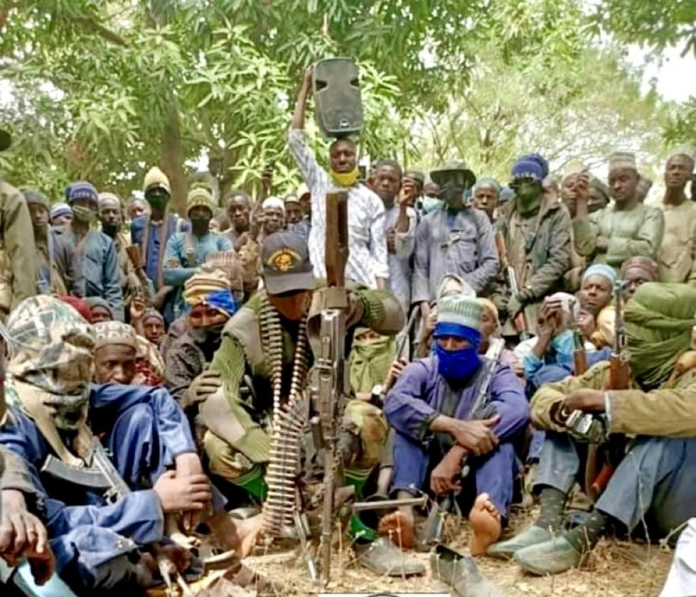 Bandit gang gathered in forest of Niger State in 2021 for negotiations with State officials. Courtesy of the bandits. 