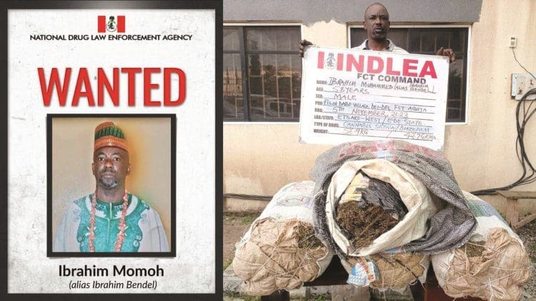 NDLEA's wanted poster and mug shot of Ibrahim Momoh. Credit: NDLEA Nigeria on X.