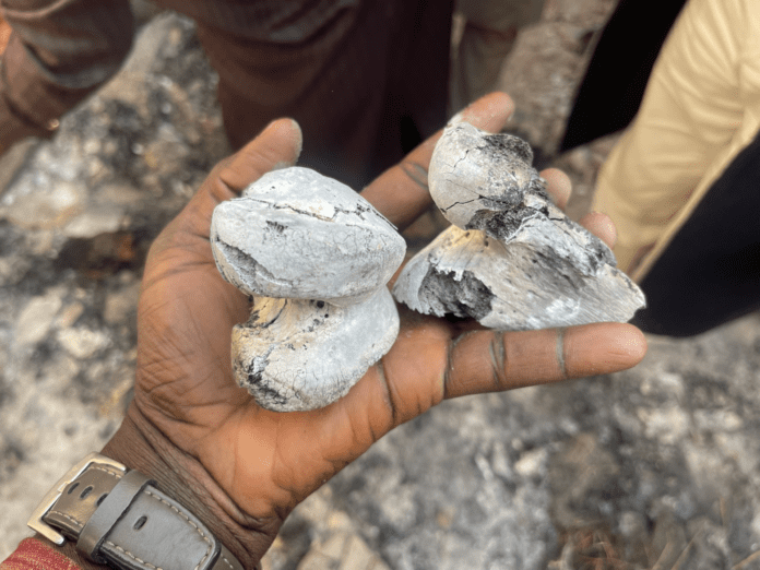 Bones only remain of a Bokkos family burned to death in a village house. Photo by Steven Kefas. 
