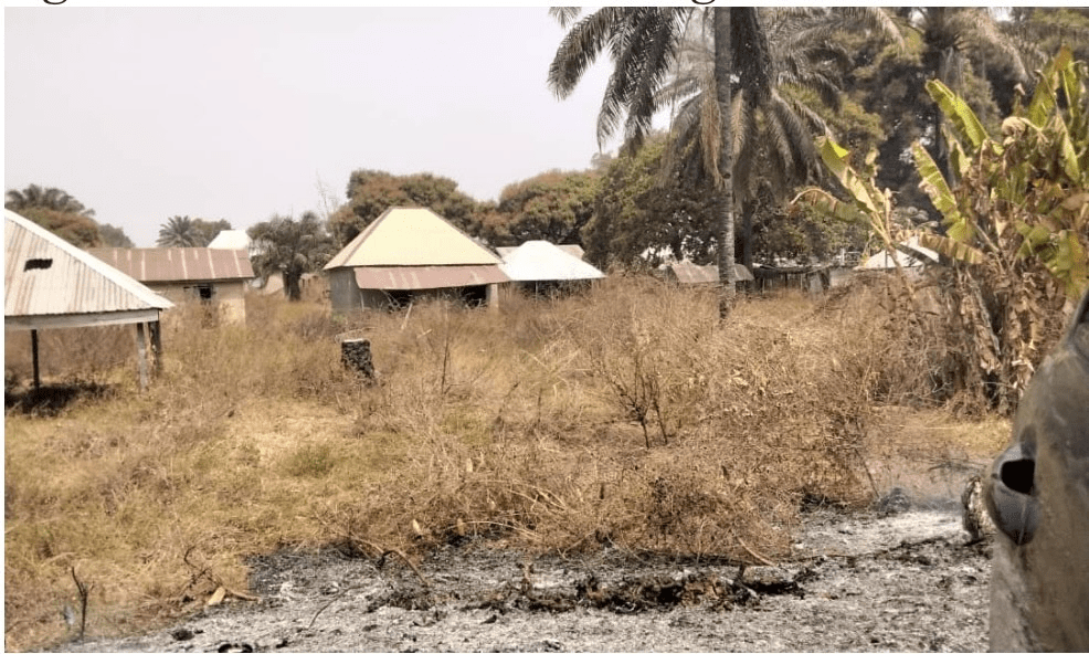 Some deserted houses, outgrown by weeds in Ugbobi. Photo credit: Steven Kefas/Truth Nigeria