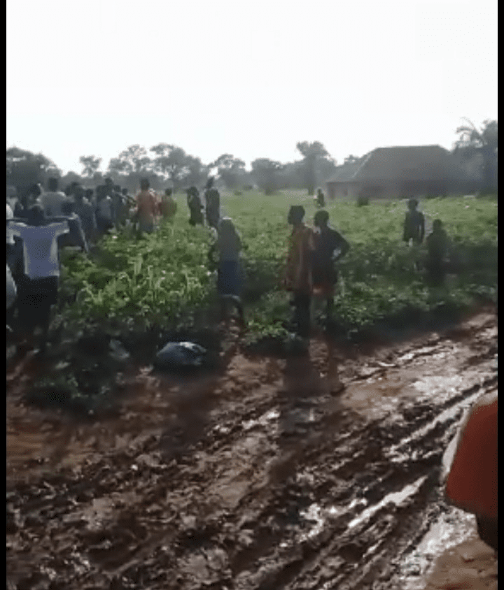 Residents of the village of Egwuma, in Agatu County of Benue State, look for bodies of loved ones in the fields after a brutal attack by Islamists on Sunday morning, July 14, 2024. Credit: Mike Odeh James