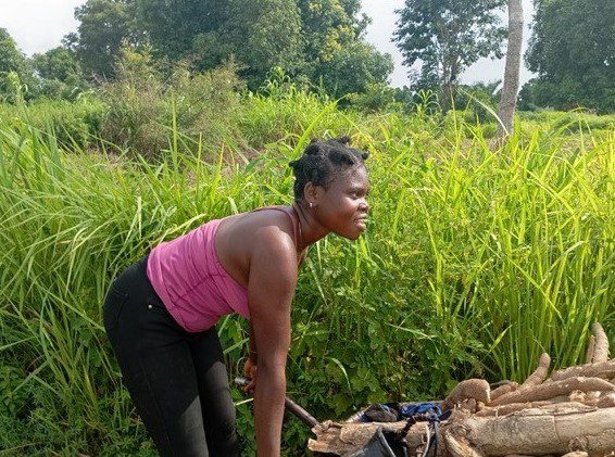 Ayati survivor gathers tubers near the village of Ayati after the Aug. 8 attacks. credit: Mike Odeh James.