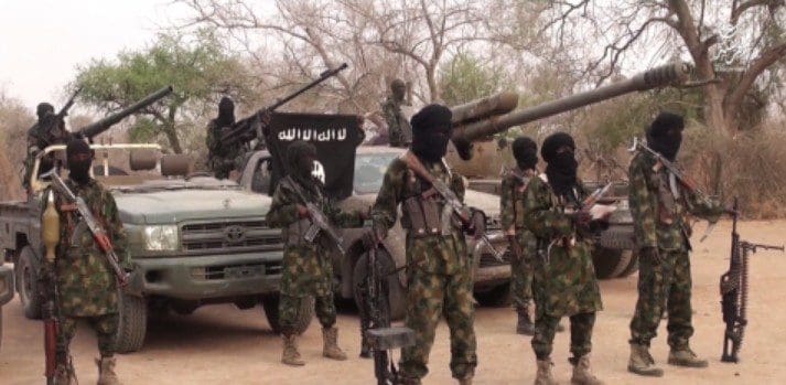 Boko Haram members with their ISIS flag: Credit Boko Haram.