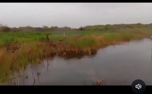 "Ambush them, Ambush them!”