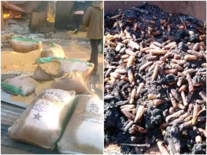 Farm products, cassava flakes (left) and corn, destroyed by the herders. Photo credit: Premium Times.