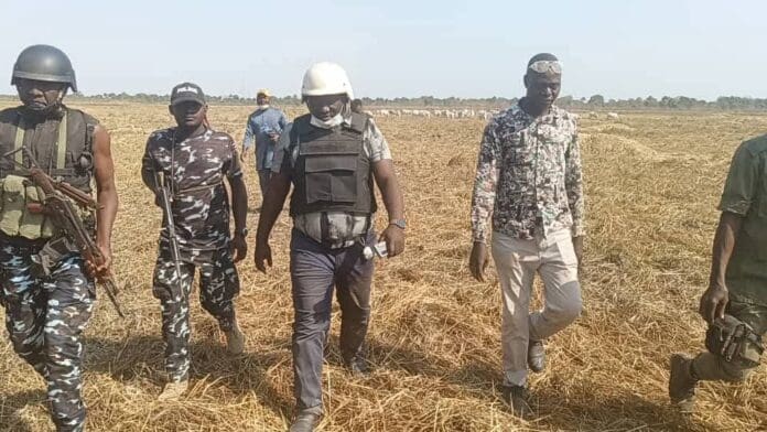 County Chairman Melvin Ejeh (in white helmet) walking away from cattle herd in distance and toward Fulani herders who have crossed into Agatu County; Credit: Melvin Media Aide, Obochi