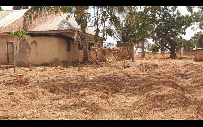 Abandoned farm house. Photo by Mike Odeh James.