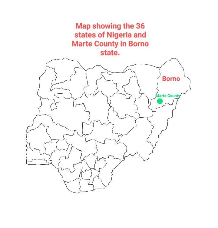 Map of Nigeria showing the 36 states and Marte county in Borno state.  Courtesy: Produced by Segun Onibiyo 