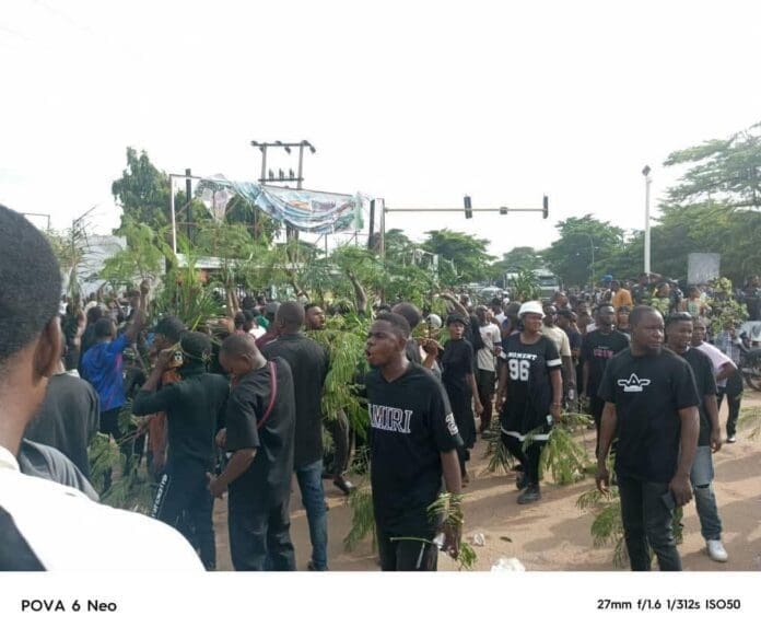 Amateur pictures from the Venue Fulani Ethnic Militia terrorist protest in Benue. Photo Courtesy: Segun Onibiyo.