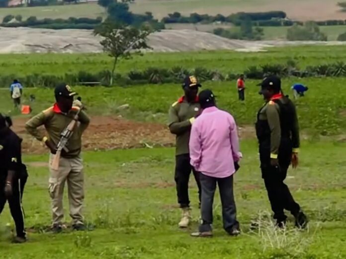 Civilian guards watch farmers tend to their crops in Butura, Plateau State Nigeria. Credit Masara Kim 