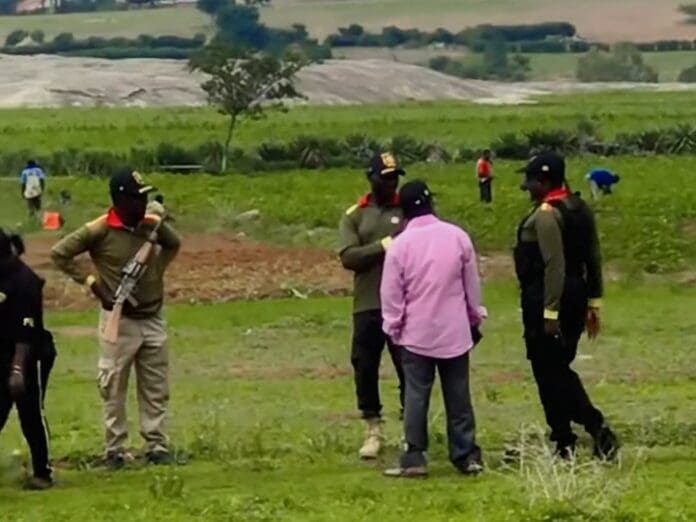 Civilian guards watch farmers tend to their crops in Butura, Plateau State Nigeria. Credit Masara Kim 