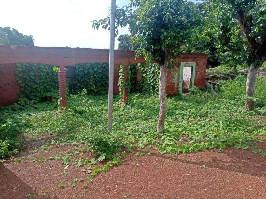 Market shops overgrown by weeds. Credit: Zariyi Yusuf