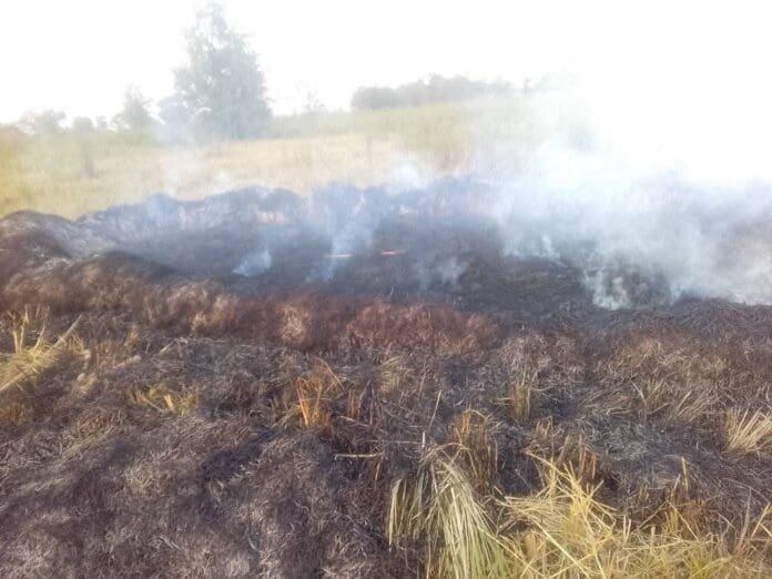 Rice Farm belonging to Mr Stephen Ugbakyaa, set ablaze by Fulani terrorists on Sunday at Tse-Orbiam village in Gwer West County. Credit: Ekani Olikita.