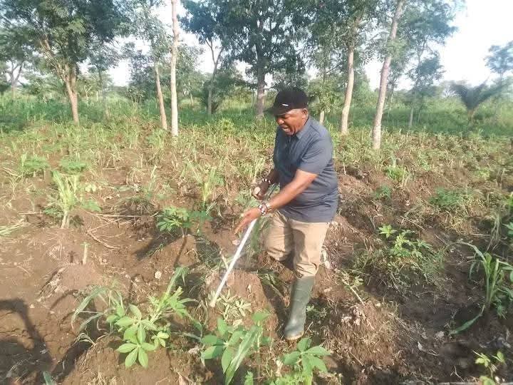 Chief Daniel Abomtse, Gwer-West Monarch, inspecting his destroyed farm
Credit: Abomtse Photos archive 
