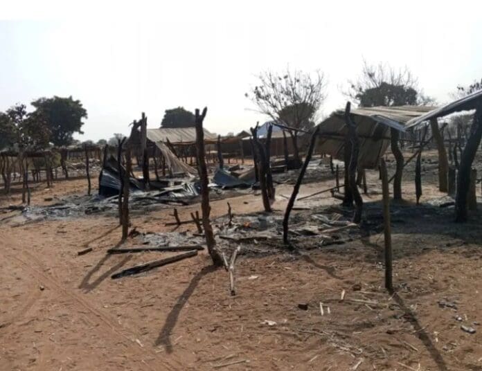 Picture of the Kasuwan Daji Market, Niger state. Picture Courtesy: Abubakar Akote.