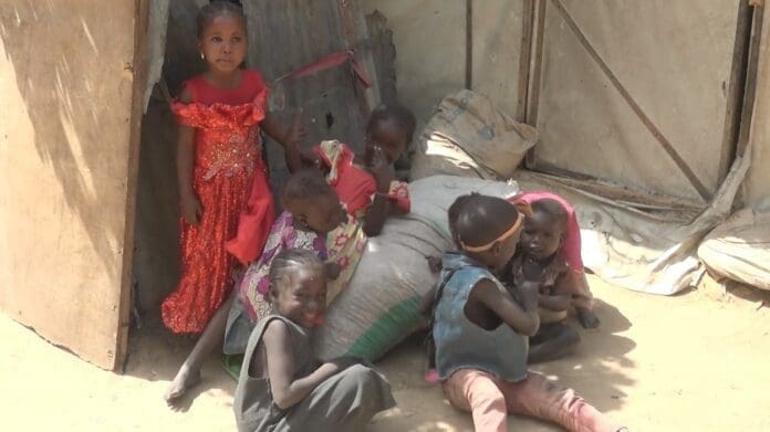 Children playing in an Internally Displaced Persons camp in Borno | Credit: Mary Kiara