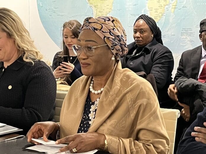 Her Excellency and former Senator Oluremi (“Remi)”) Tinubu at the Hudson Institute Feb. 2, 2026. (credit, Douglas Burton).