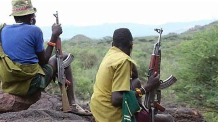 Armed Fulani terrorists Credit: Facebook